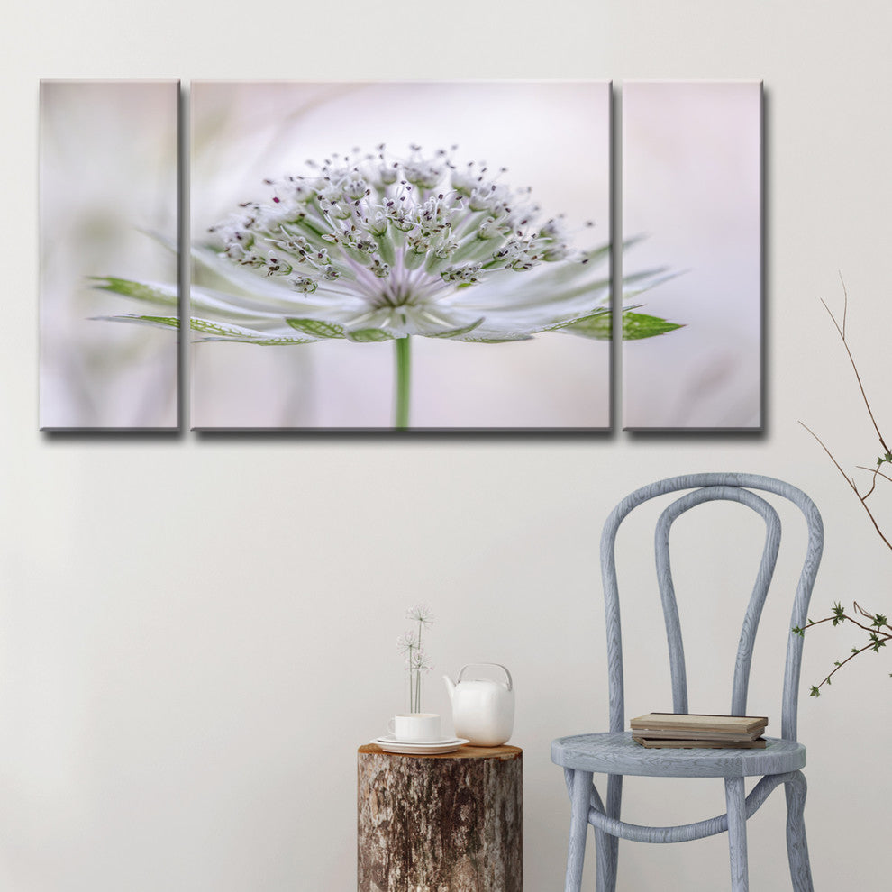 Ready2HangArt ''Astrantia'' 3-Piece Canvas Wall Decor Set