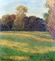 Claude Oscar Monet Meadow in the Sun at Giverny Wall Decal Print