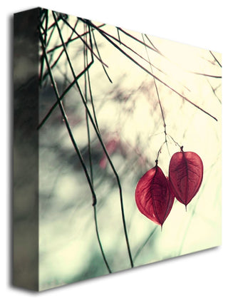 'Together' Canvas Art by Beata Czyzowska Young