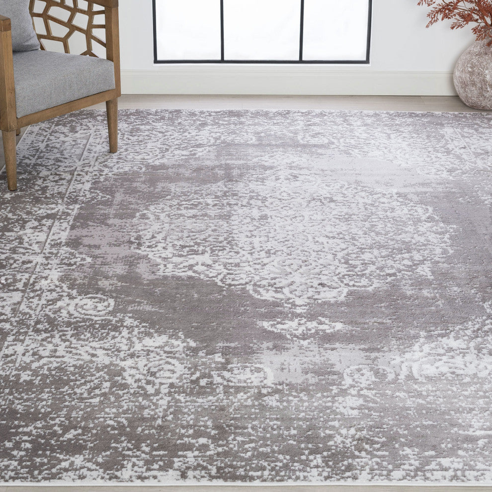 Lasonya Traditional Medallion Gray Rectangle Area Rug, 8' x 10'