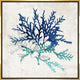 Cerulean Coral I, 37.25"x37.25", Gold Leaf Gallery Float