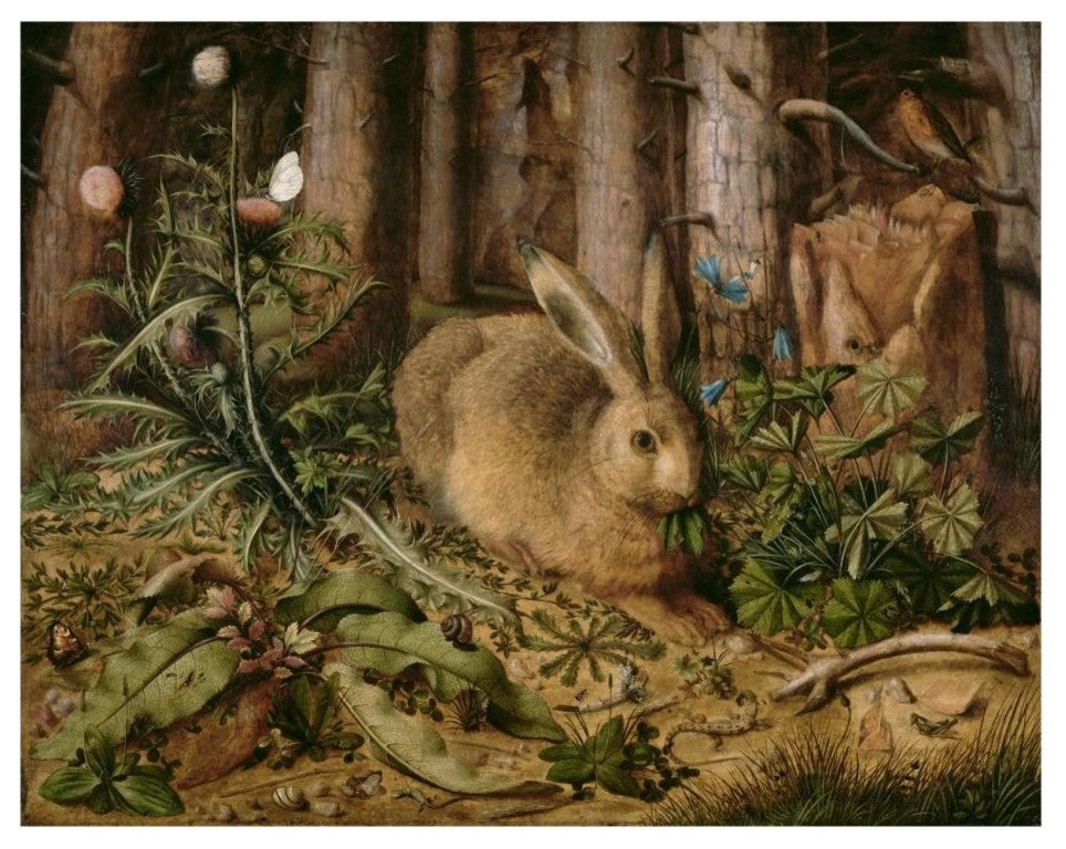 "A Hare in the Forest" Digital Paper Print by Hans Hoffmann, 26"x22"