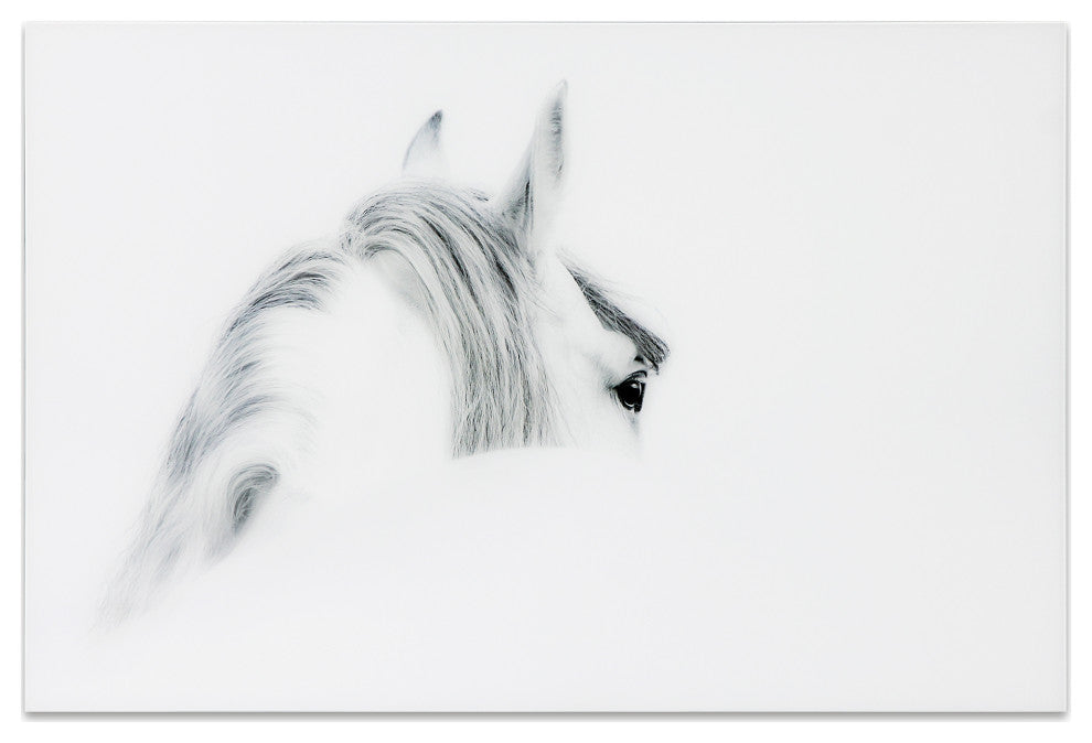 White Horse Wall Art Frameless Free Floating Tempered Glass Panel, 48" x 32"