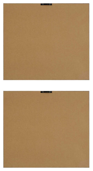 Uttermost The Catch Framed Fish Prints Set of 2