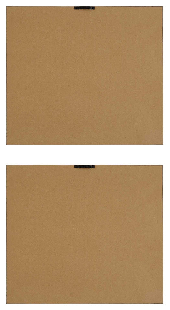 Uttermost The Catch Framed Fish Prints Set of 2