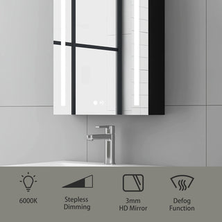 Surface Mount Bath Medicine Cabinet, Mirror and Shelves, 20"