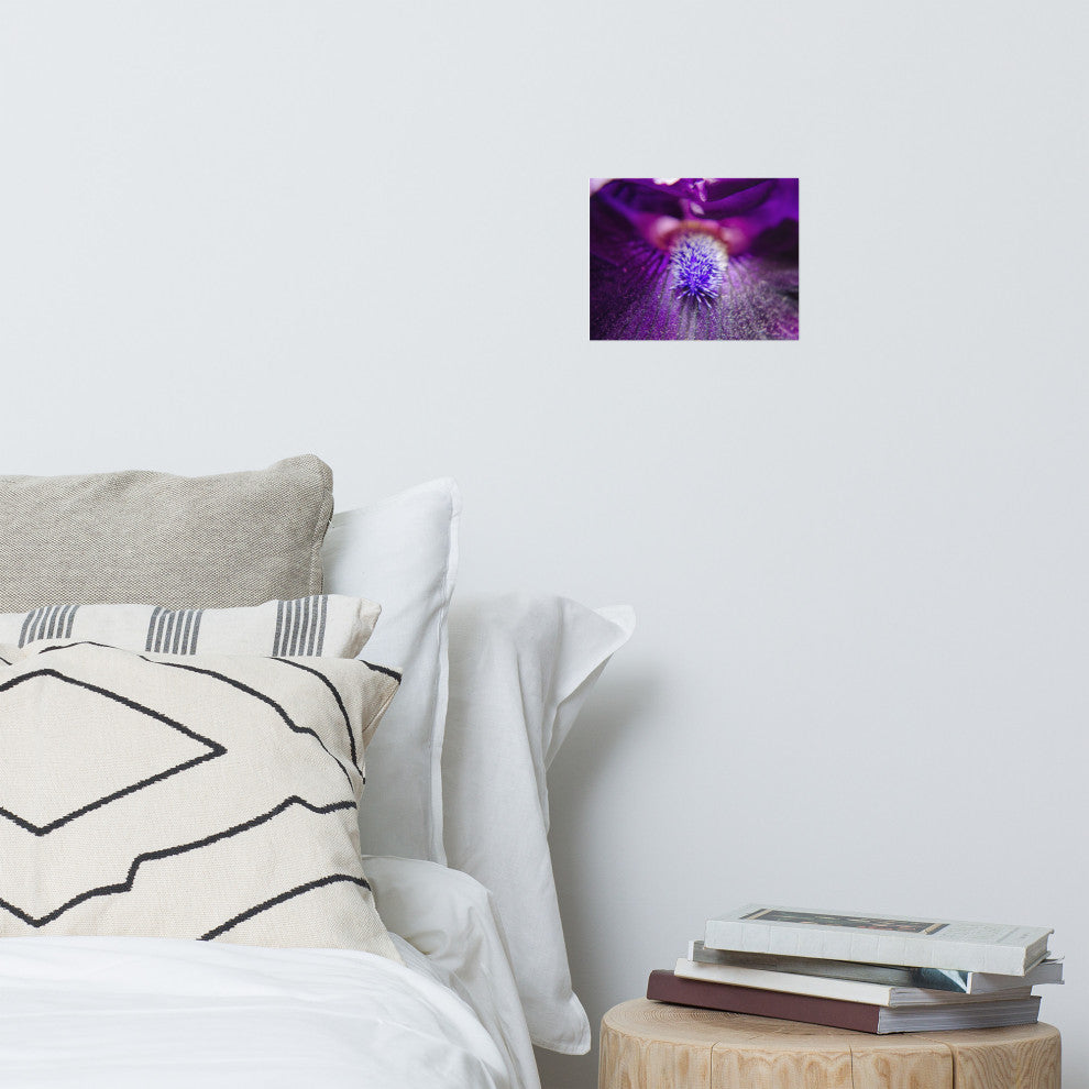 Eye of Iris Nature Photography, Floral Unframed Wall Art Print, 8" X 10"