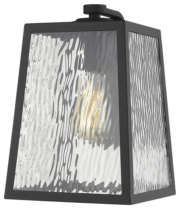 Hirche 1-Light Matte Black Wall Light