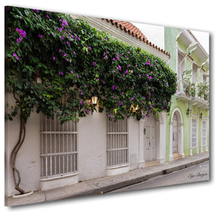 Indoor/Outdoor Wall Decor 'Provincial XIII' in ArtPlexi, 30"x40"