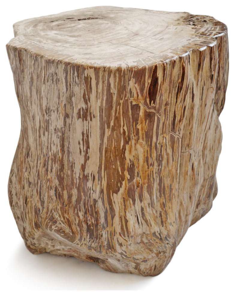 Rustic Petrified Wood Stump Stool Table
