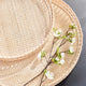 Barri Trays, Set of 2
