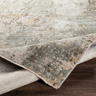 Brunswick BWK-2308 Rug, Beige, 2'x3'