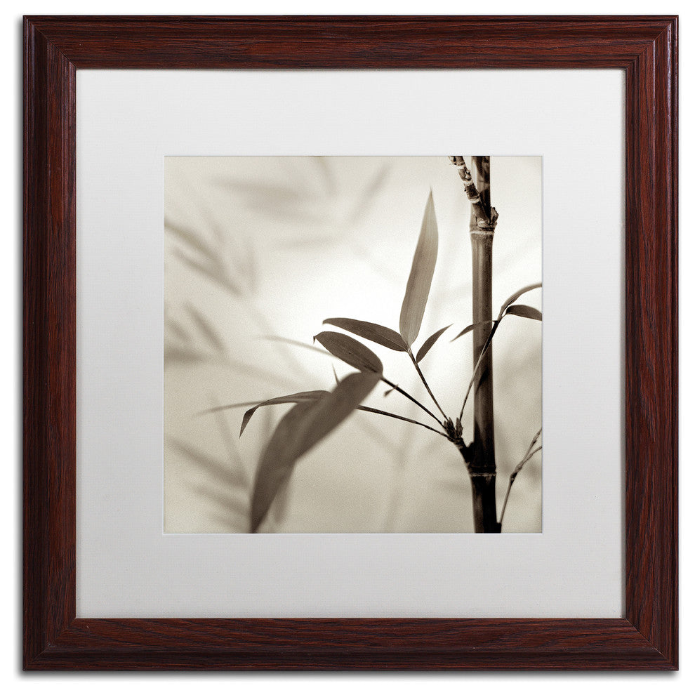 Alan Blaustein 'Florison 64' Art, Wood Frame, White Mat, 16x16
