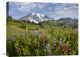 "Paradise Meadow And Mount Rainier, Washington" Artwork