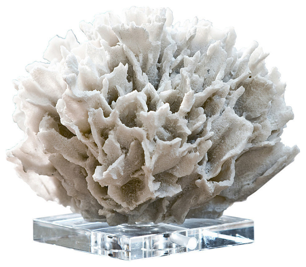 Ribbon Coral, White