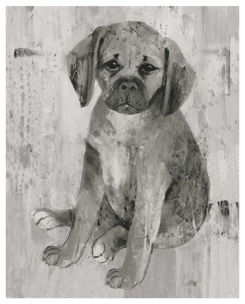 "Paco in Grey Tones" Digital Paper Print by Albena Hristova, 18"x22"