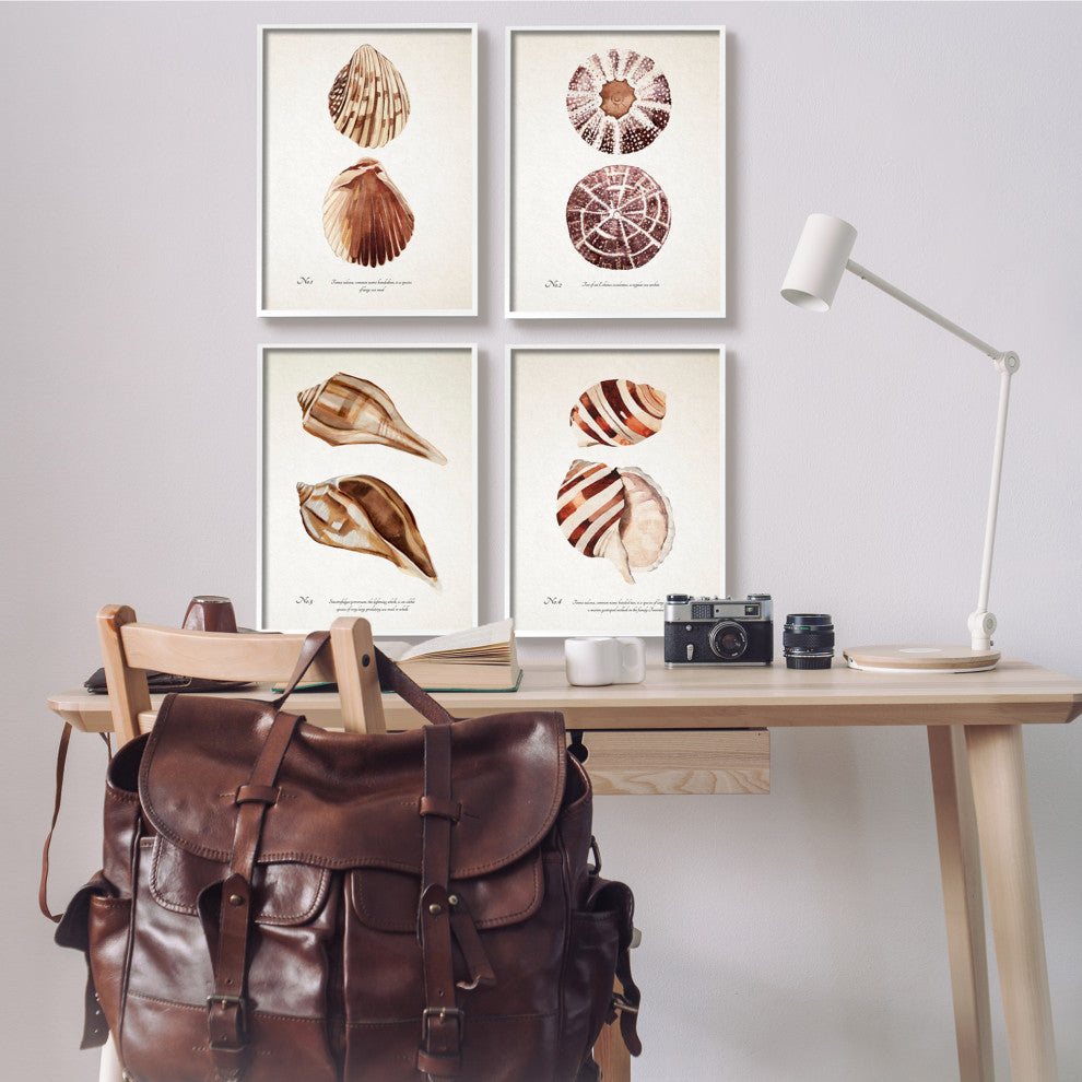 Elegant Beach Seashells Exquisite Marine Life , 4pc, each 16 x 20