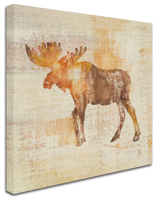 Studio Mousseau 'Moose Study' Canvas Art, 24x24