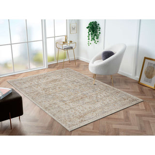 Ava Distressed Arabesc Area Rug - Silver, 5'x7'6"
