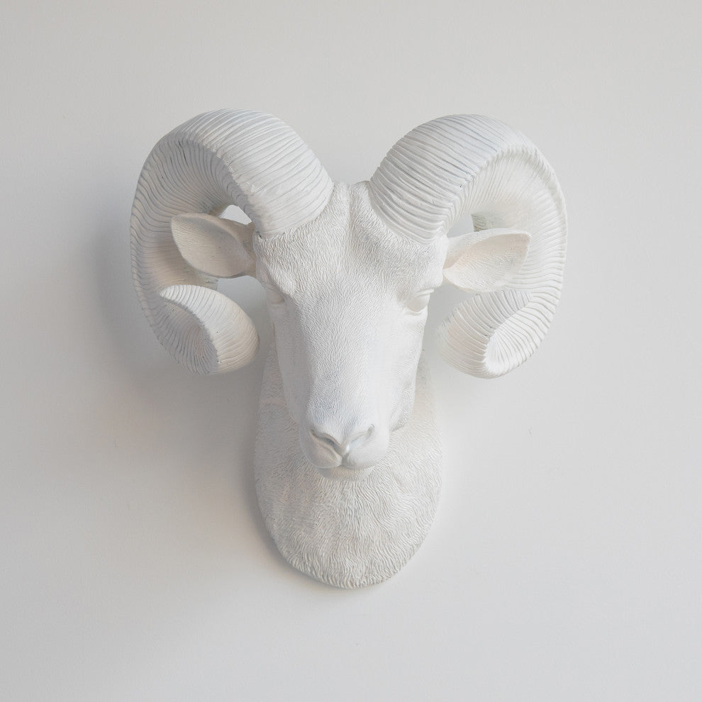 Resin Ram Head Wall Mount, White