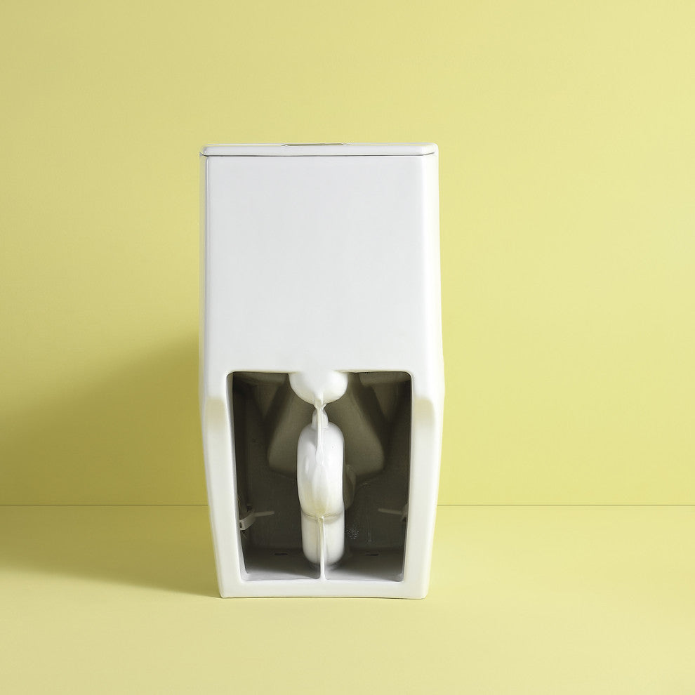One-piece 1.1/1.6 GPF Dual Flush Elongated Toilet with Soft-Close Seat