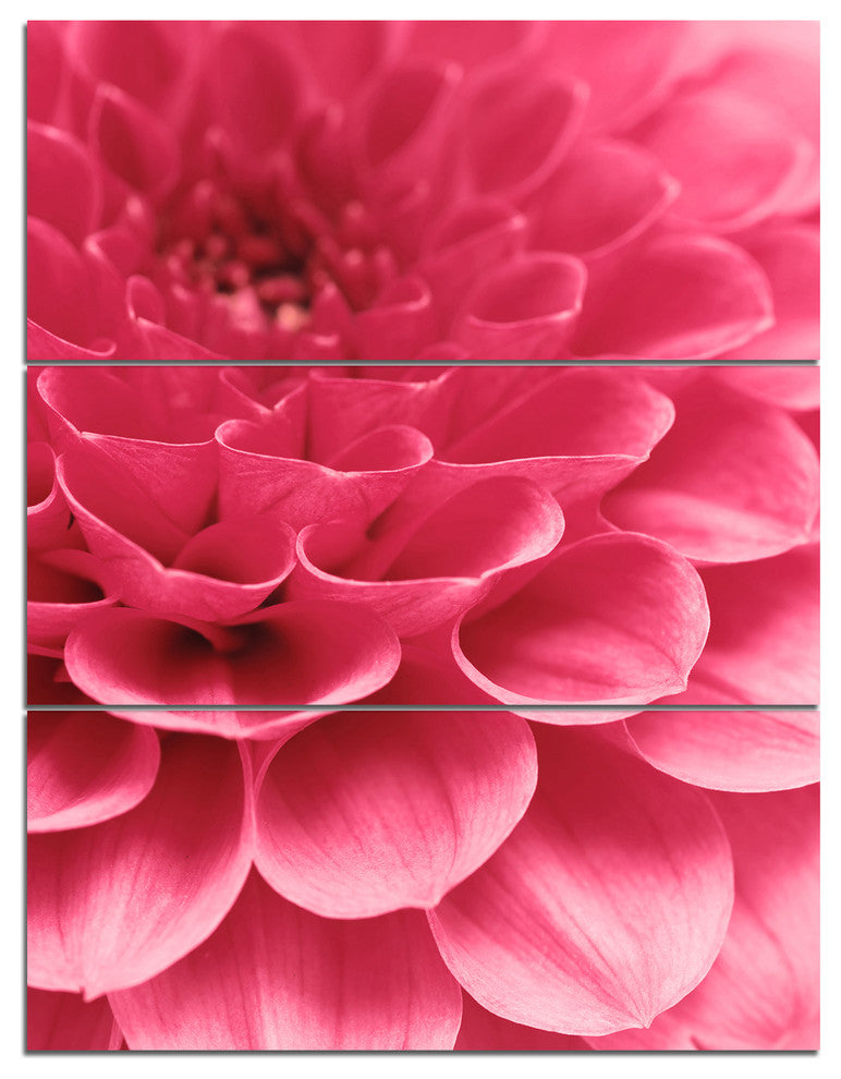 Soft Rose Abstract Flower Petals, Floral Triptych Canvas Print, 28x36, 3 Panels