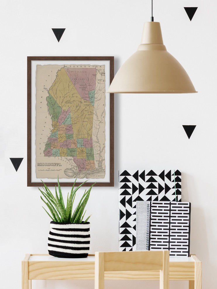 "Colored Mississippi" Framed Painting Print, 20x30