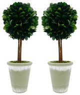 Preserved Decorative 17" Potted Boxwood Ball, Pair