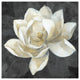 "Majestic Magnolia Neutral Sq" Digital Paper Print by Albena Hristova, 32"x32"