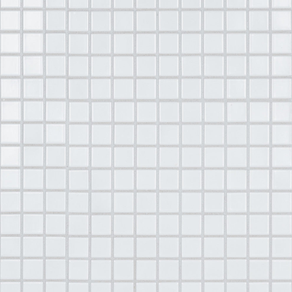 Metro 1" Square Matte White Porcelain Floor and Wall Tile