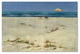 ''Two Small Boats'' Canvas Art by Rio