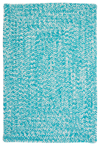 Colonial Mills Catalina CA19 Aquatic Indoor/Outdoor Area Rug, Rectangular 4'x6'