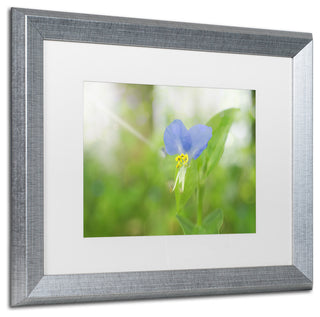 PIPA Fine Art 'Asiatic Dayflower' Matted Framed Art, 20x16