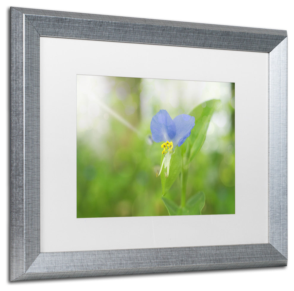 PIPA Fine Art 'Asiatic Dayflower' Matted Framed Art, 20x16