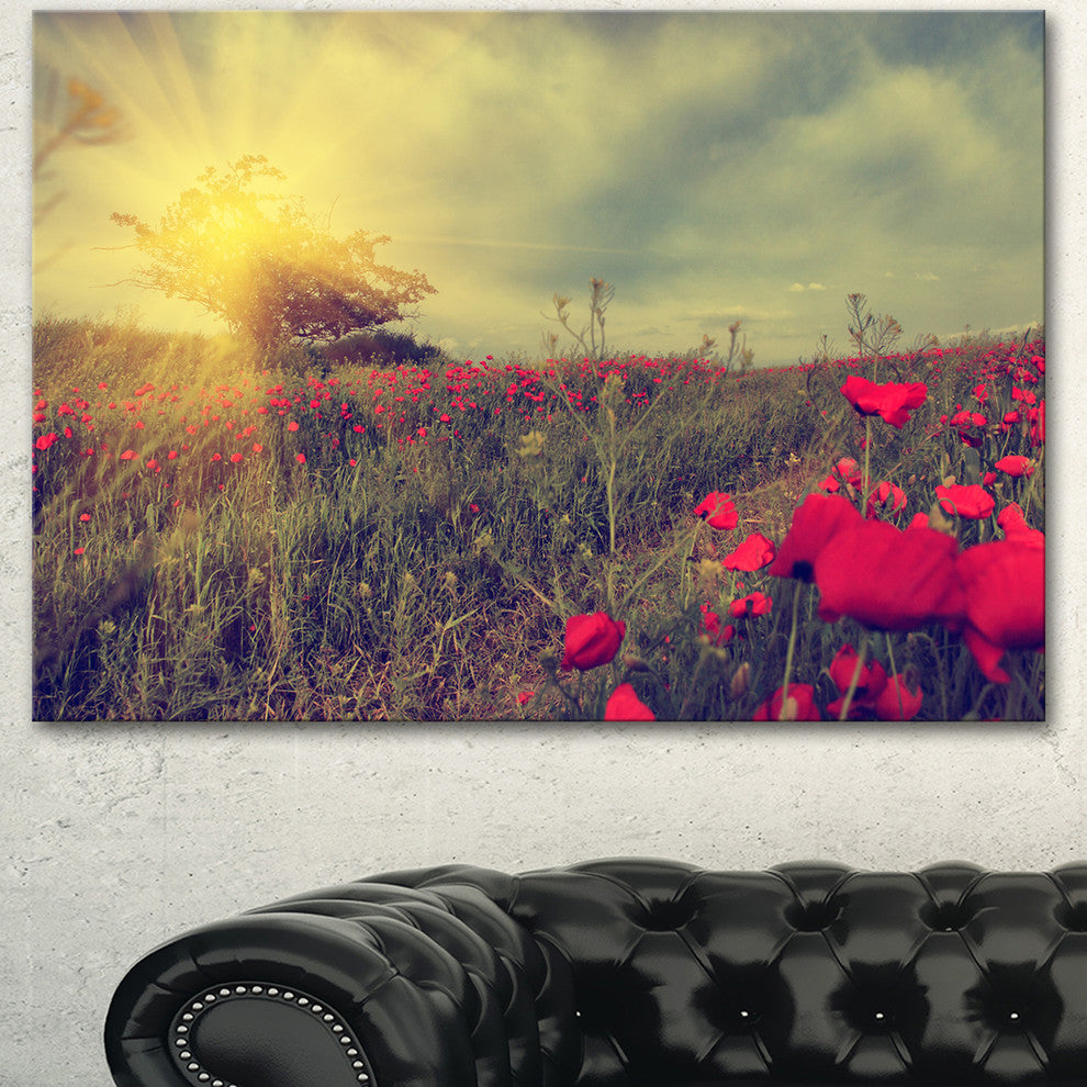 Vintage Photo of Poppies at Sunset, Large Floral Canvas Art Print, 60"x28"
