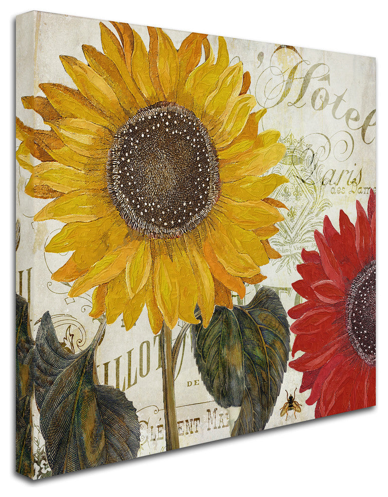 Color Bakery 'Sundresses I' Canvas Art, 14x24