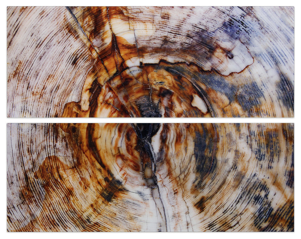 "Impact" Abstract Wall Art Frameless Free Floating Tempered Glass Print Set of 2