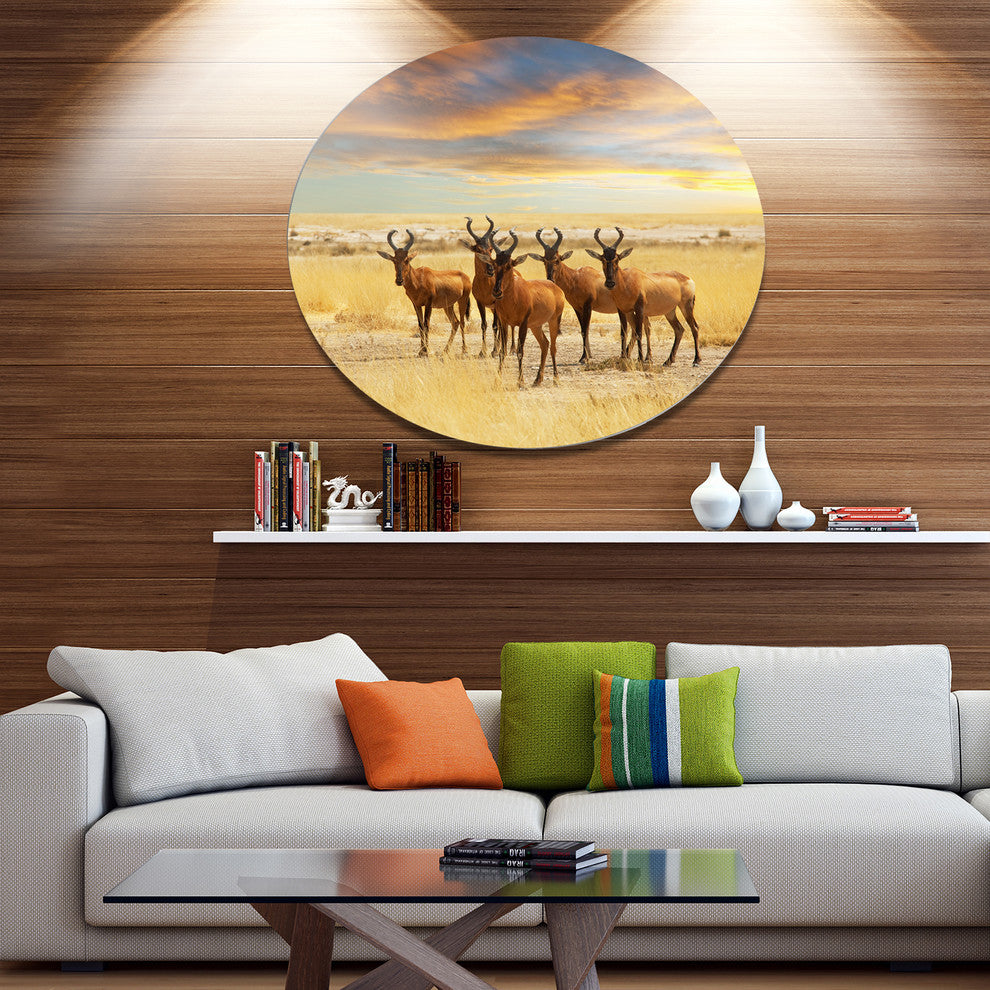 Herd Of Antelope In Grassland, African Disc Metal Artwork, 11"