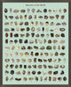 Mineral Chart, Giclee Reproduction Artwork