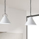 White Contemporary Pendant With Matte Black Metal