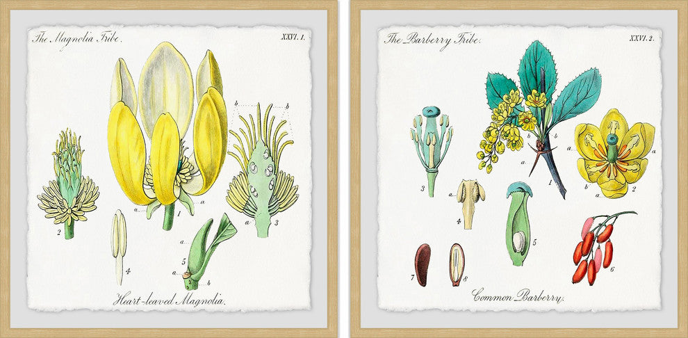 "Isn't Cute? Diptych" Framed Prints, 12"x12", 2-Piece Set
