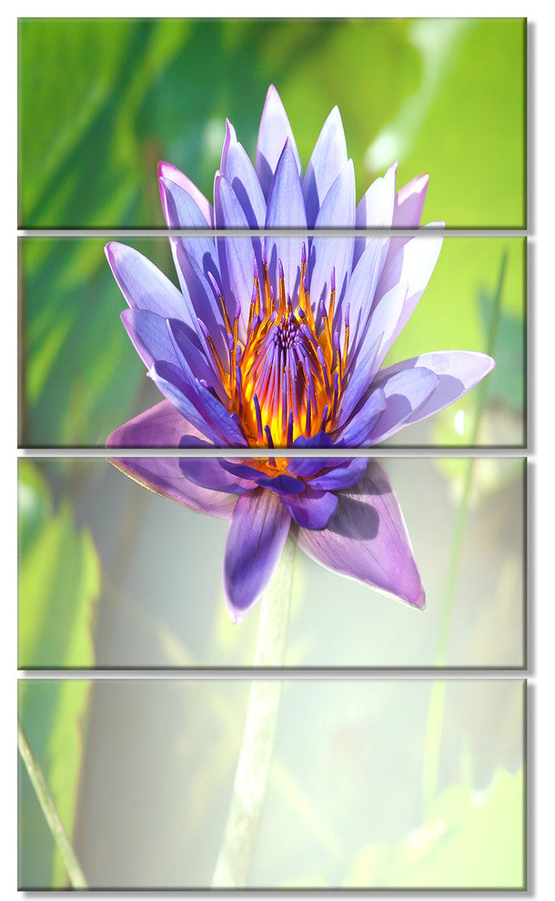 Huge Purple Lotus on Green Background, Flower Canvas Print, 28"x48", 4 Panels