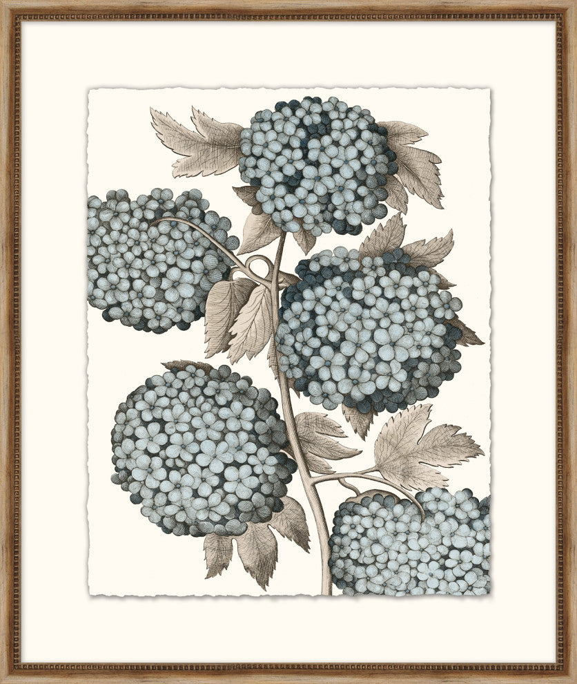Azure Botanical 2, Giclee Reproduction Artwork