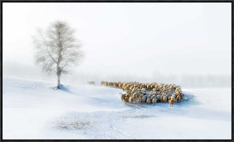 "In Snow" Framed Canvas Giclee by Hua Zhu, 37x22"