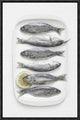 "I H T I S" Framed Canvas Giclee by Dimitar Lazarov, 13x19