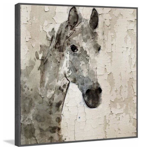 "Glaeta Horse" Floater Framed Painting Print on Canvas, 24"x24"