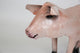 Recycled Metal Standing Pig, Pink