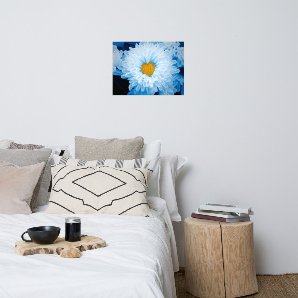 Blue Tinted Chrysanthemums Floral Nature Photo Loose Wall Art Print, 18" X 24"
