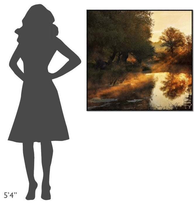 "When Nature Paints With Light" Framed Canvas Giclee by Jimbi, 37x35"