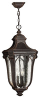 Hinkley Trafalgar Large Hanging Lantern, Mocha